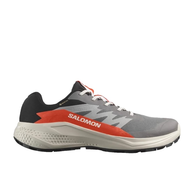 کفش دویدن تریل خاکستری مردانه Salomon AlphaGlide Gore-Tex...