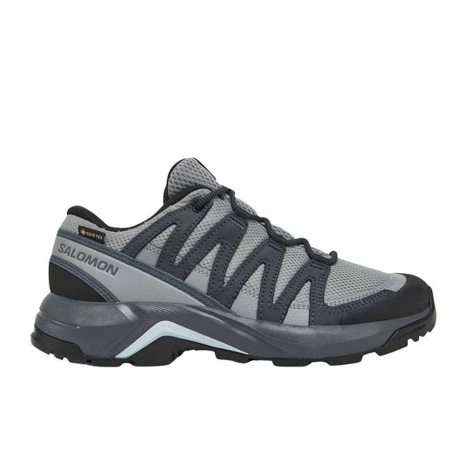 کفش فضای باز خاکستری زنانه Salomon X-Adventure Recon Gore Tex – آنتراسیت